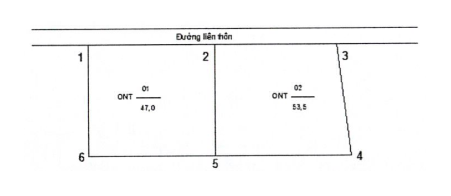 Nghị định 101/2024/NĐ-CP về điều tra cơ bản đất đai; đăng ký, cấp sổ đỏ