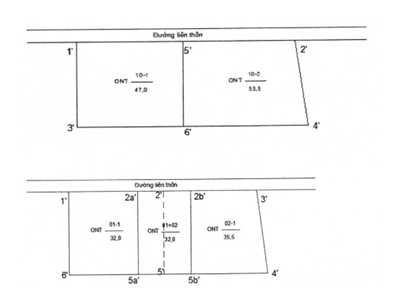 Nghị định 101/2024/NĐ-CP về điều tra cơ bản đất đai; đăng ký, cấp sổ đỏ