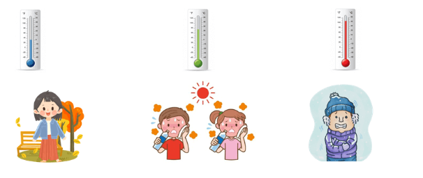 Bài tập cuối tuần Toán lớp 3 Cánh Diều - Tuần 14 có đáp án
