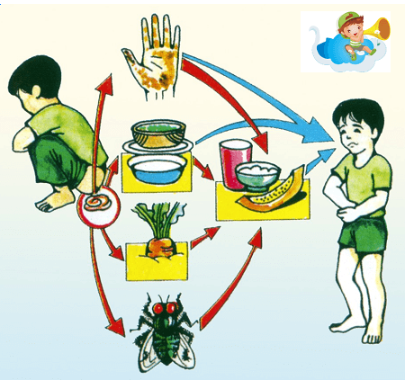 Giải Khoa học tự nhiên 6 Bài 27: Nguyên sinh vật