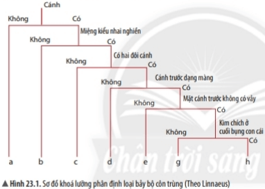 Giải KHTN Lớp 6 Bài 23: Thực hành xây dựng khóa lưỡng phân