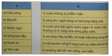 Tiếng Việt lớp 5 VNEN Bài 25B: Không quên cội nguồn