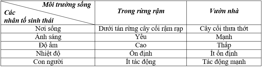 Giải Sinh học 9 bài 41: Môi trường và các nhân tố sinh thái