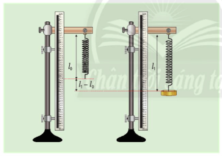 Biến dạng của lò xo Phép đo lực - KHTN Lớp 6 Bài 39