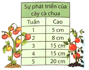 Bài tập cuối tuần Toán lớp 3 Chân trời sáng tạo - Tuần 26 có đáp án