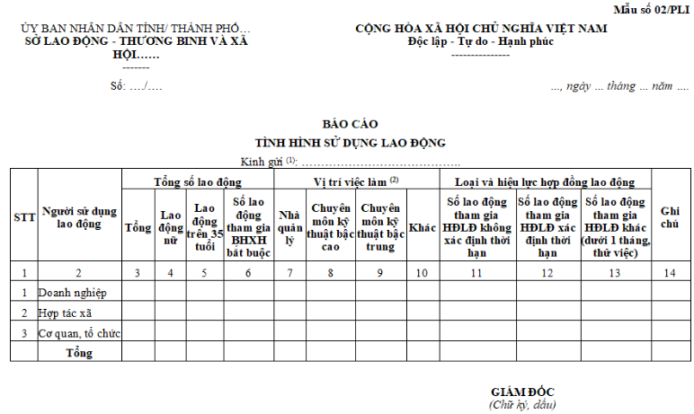 Cách điền mẫu báo cáo tình hình sử dụng lao động chi tiết