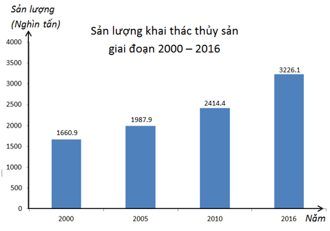 Đề thi Toán 7 Giữa kì 2 có đáp án mới nhất 2023 -2024