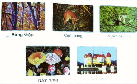 Giải Tiếng Việt lớp 5 VNEN Bài 8A: Giang sơn tươi đẹp