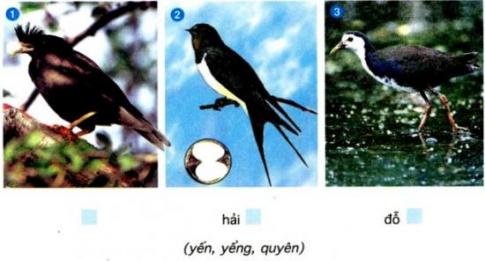 Giải Tiếng Việt lớp 5 VNEN Bài 8A: Giang sơn tươi đẹp