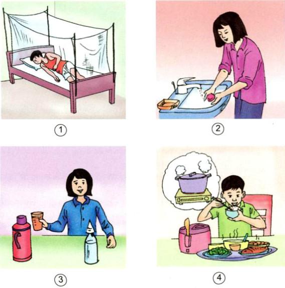 Giải Khoa học 5 bài 33, 34: Ôn tập và kiểm tra học kì 1