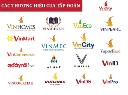 Description: Các lĩnh vực hoạt động của Vingroup