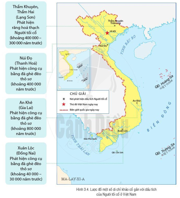 Quá trình tiến hoá từ vượn người thành người trên Trái Đất