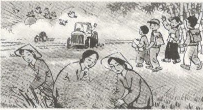 Giải Luyện từ và câu lớp 4: Chủ ngữ trong câu kể Ai làm gì?