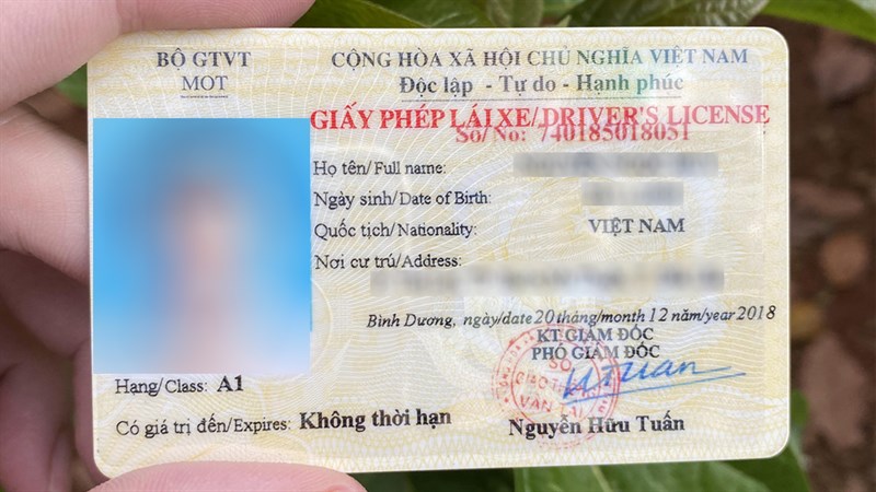 Mặt trước, mặt sau của bằng lái xe có những thông tin gì?