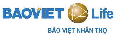 Ý nghĩa logo của tập đoàn Bảo Việt là gì?