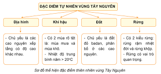 Vẽ sơ đồ tư duy thể hiện đặc điểm tự nhiên của vùng Tây Nguyên