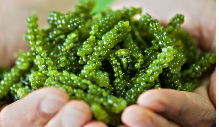 8 loại thực phẩm có nhiều đồng không phải ai cũng biết