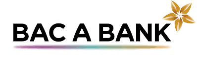 Ý nghĩa logo của ngân hàng Bắc Á là gì?