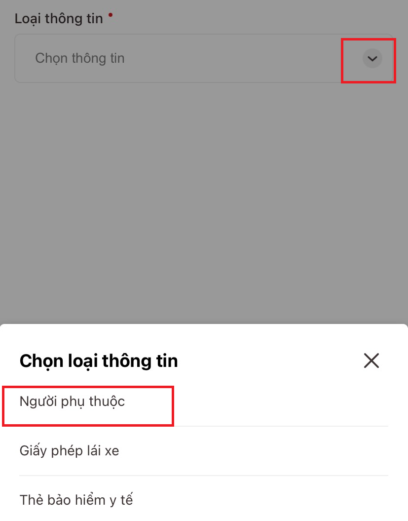 Hướng dẫn tích hợp thông tin người phụ thuộc vào VNeID