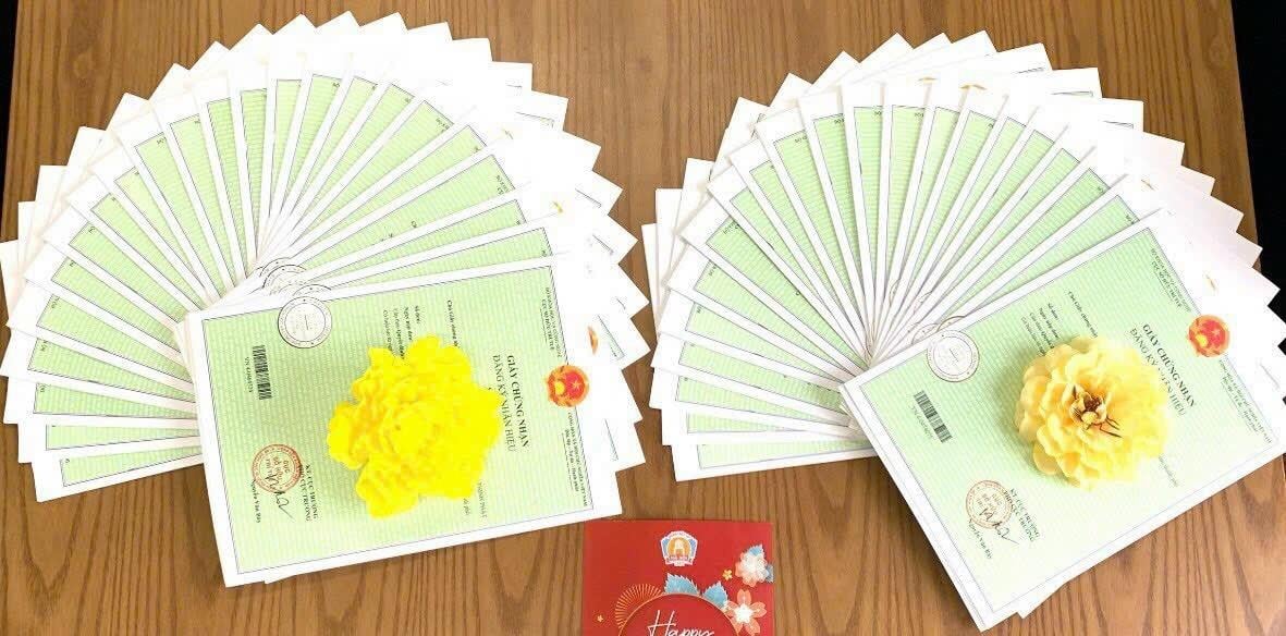 Văn bằng bảo hộ