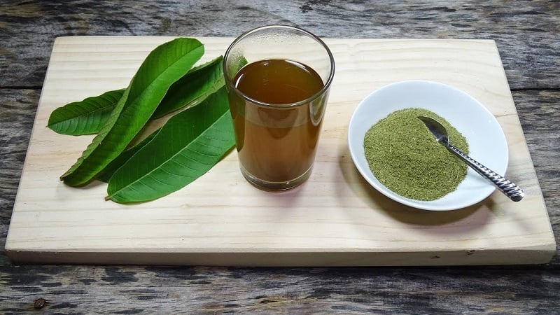 Lá ổi có tác dụng gì đối với sức khỏe ?