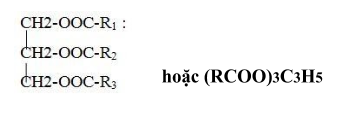 Khi thuỷ phân chất béo trong môi trường kiềm thì? Hoá học 12