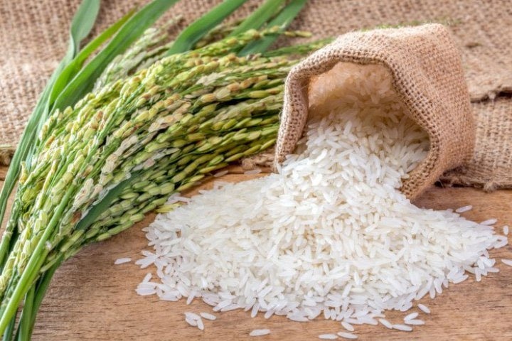 Ăn gạo sống có tốt hay không? Các rủi ro khi ăn gạo sống