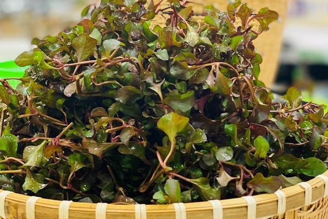 Xà lách xoong Nhật là gì? Các món ngon từ xà lách xoong Nhật dễ làm