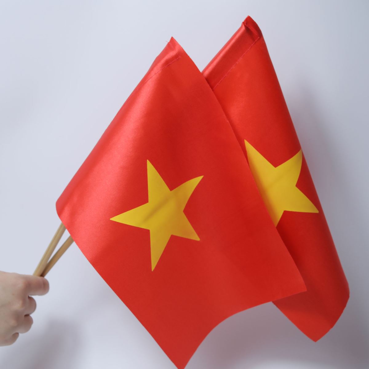 Ziga zaga là gì? Nguồn gốc của ziga zaga
