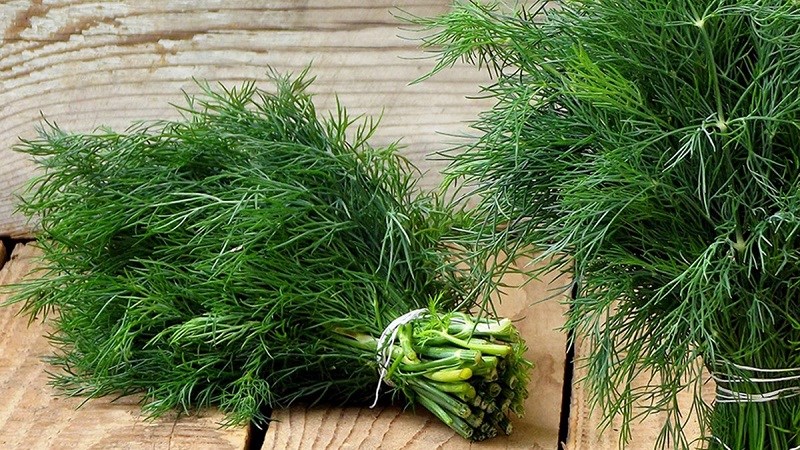 Tên các loại rau thơm gia vị ở Việt Nam
