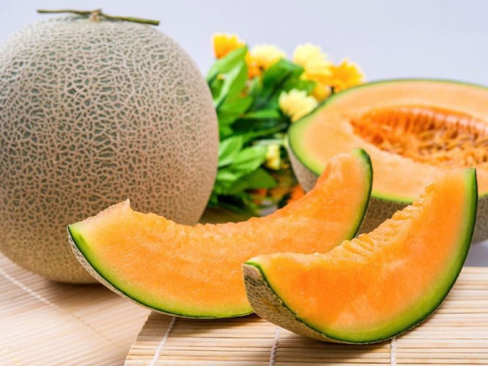 Cách chọn dưa lưới ngon ngọt, chất lượng cao
