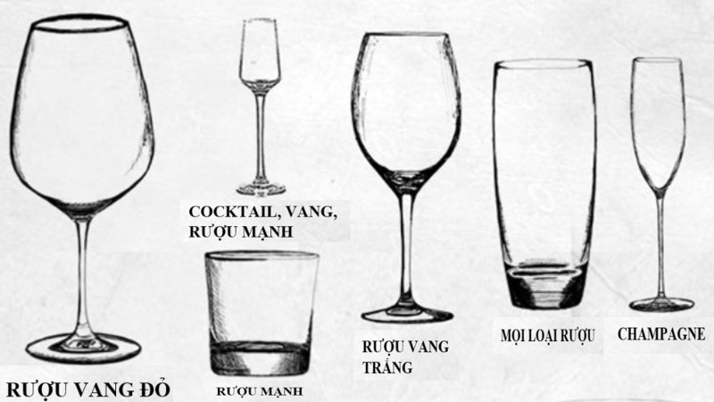 Hướng dẫn cách cầm ly rượu vang quý tộc, những lưu ý khi cầm và rót rượu đúng cách