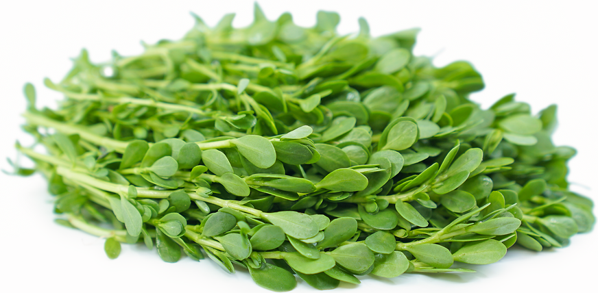 Mẹ bầu ăn rau đắng có tốt không?