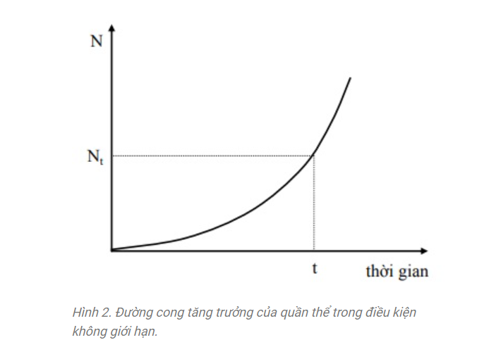 Quần thể là gì? Các đặc trưng của quần thể?