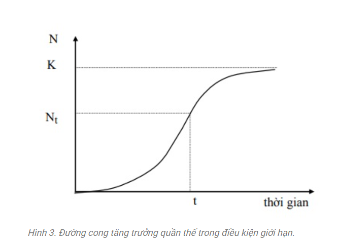 Quần thể là gì? Các đặc trưng của quần thể?