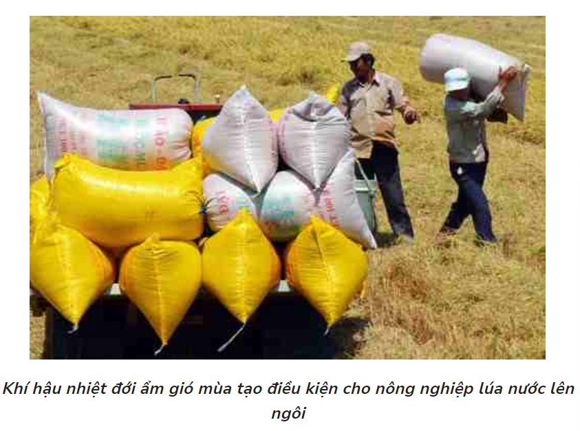 Khí hậu nhiệt đới gió mùa có đặc điểm gì?