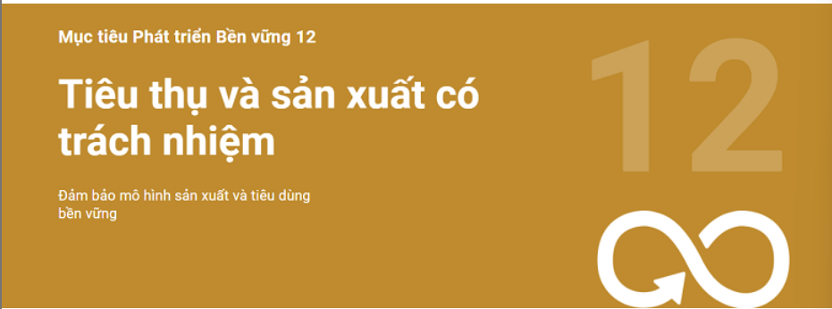 17 mục tiêu phát triển bền vững của Liên hợp quốc là gì