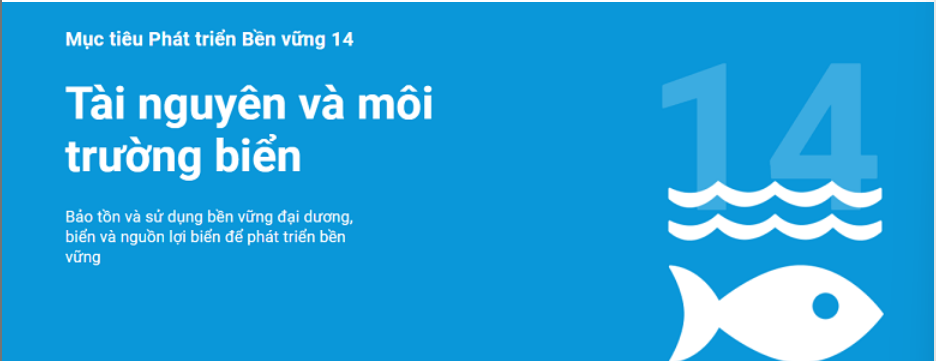 17 mục tiêu phát triển bền vững của Liên hợp quốc là gì