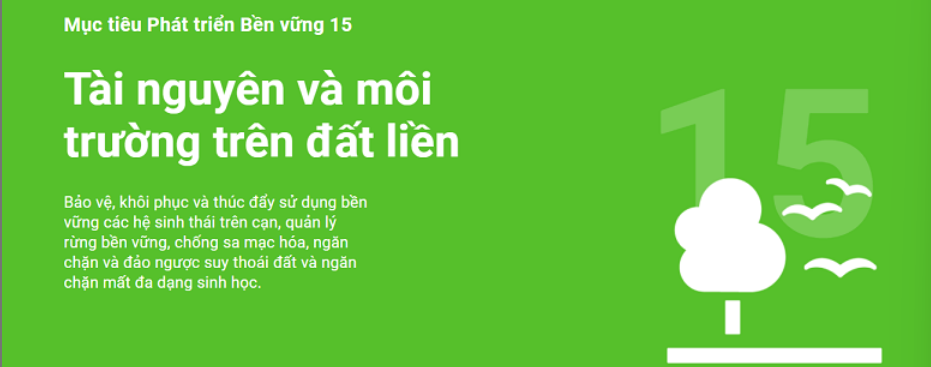 17 mục tiêu phát triển bền vững của Liên hợp quốc là gì