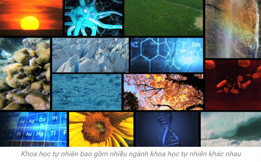 Mối quan hệ giữa triết học và khoa học tự nhiên là gì?