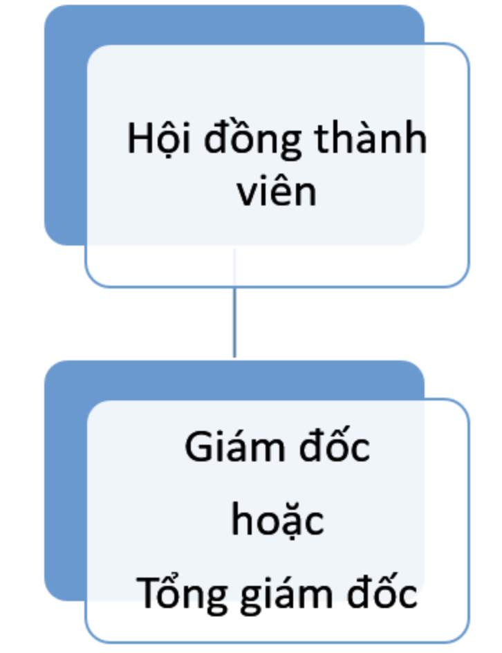 Sơ đồ tổ chức doanh nghiệp là gì? Mẫu sơ đồ tổ chức doanh nghiệp