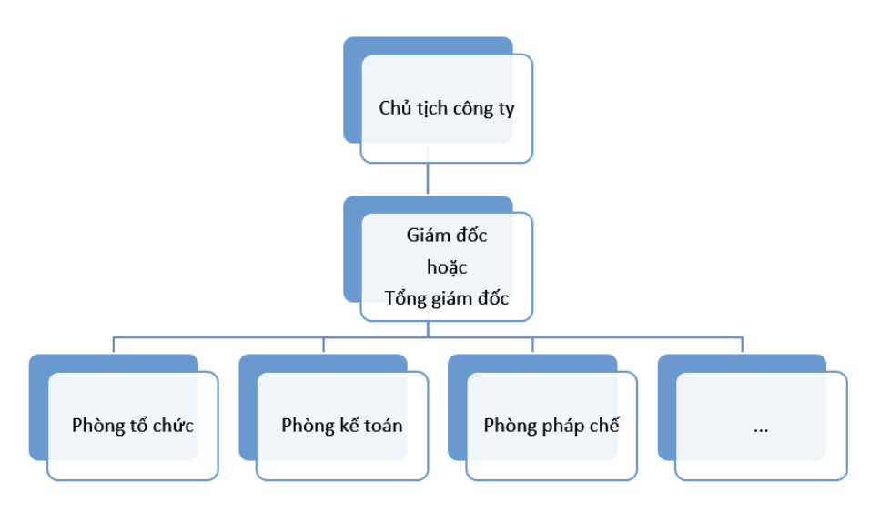 Sơ đồ tổ chức công ty TNHH một thành viên có CSH là cá nhân