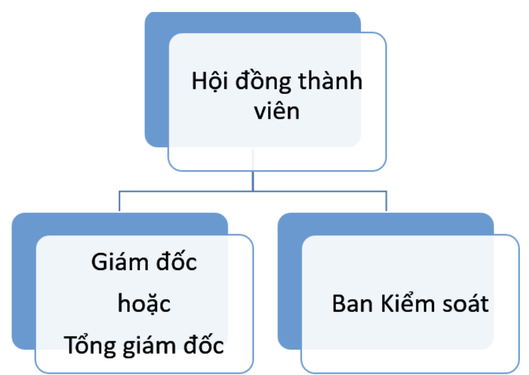 Sơ đồ tổ chức doanh nghiệp là gì? Mẫu sơ đồ tổ chức doanh nghiệp