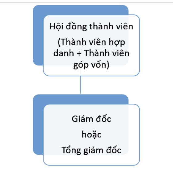 Sơ đồ tổ chức doanh nghiệp là gì? Mẫu sơ đồ tổ chức doanh nghiệp