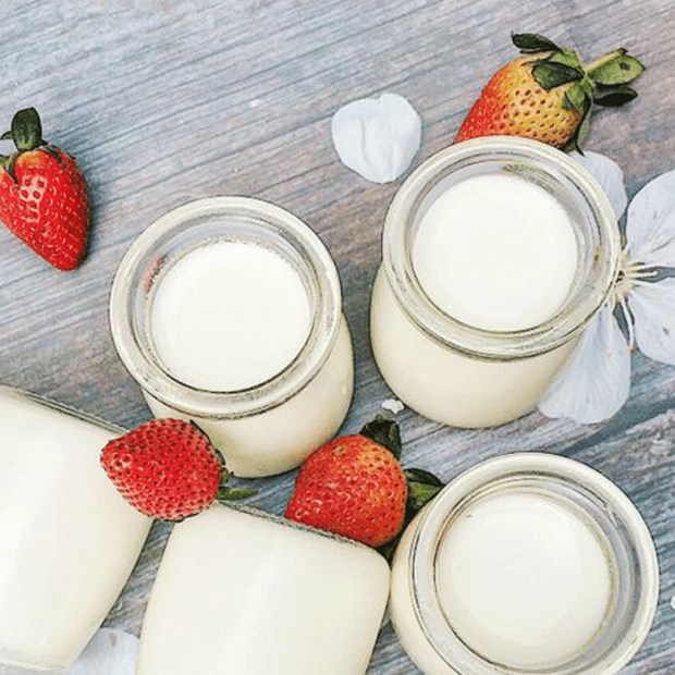 Các cách nhận biết sữa chua bị hư hỏng dễ dàng nhất