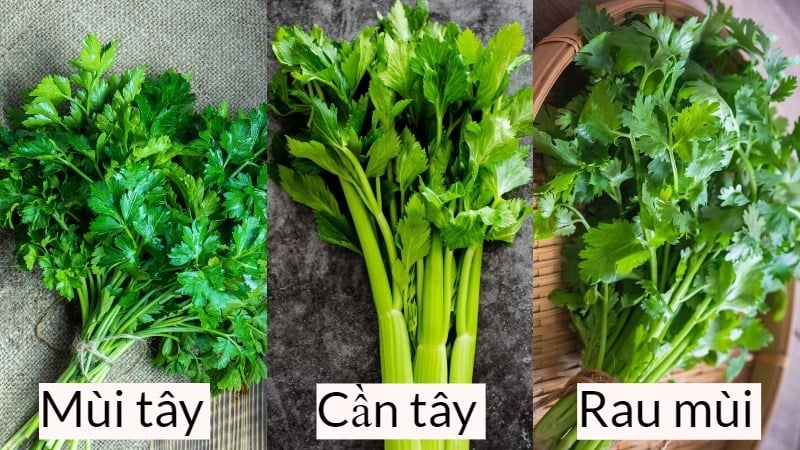 Rau mùi tây Parsley là gì? Tác dụng của Rau mùi tây Parsley