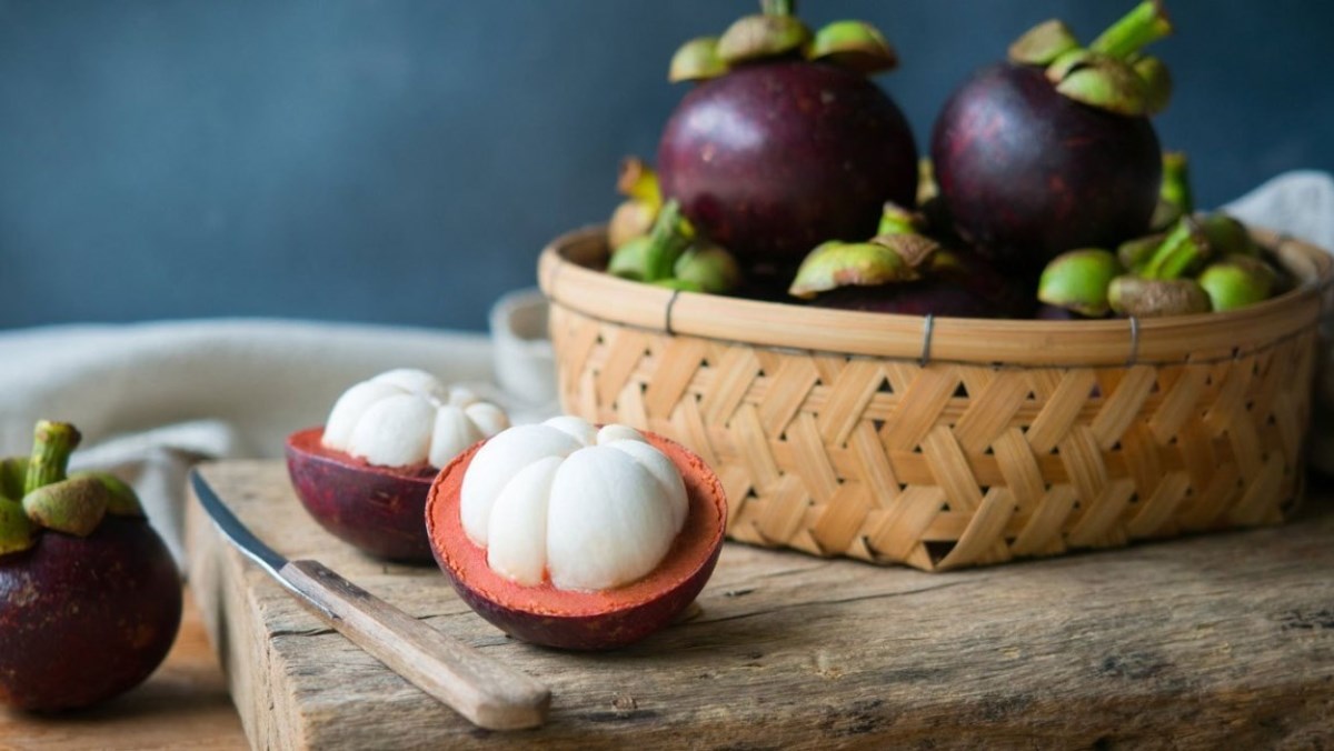 Măng cụt trồng ở đâu, bao nhiêu tiền 1kg? Mùa măng cụt là mùa nào?