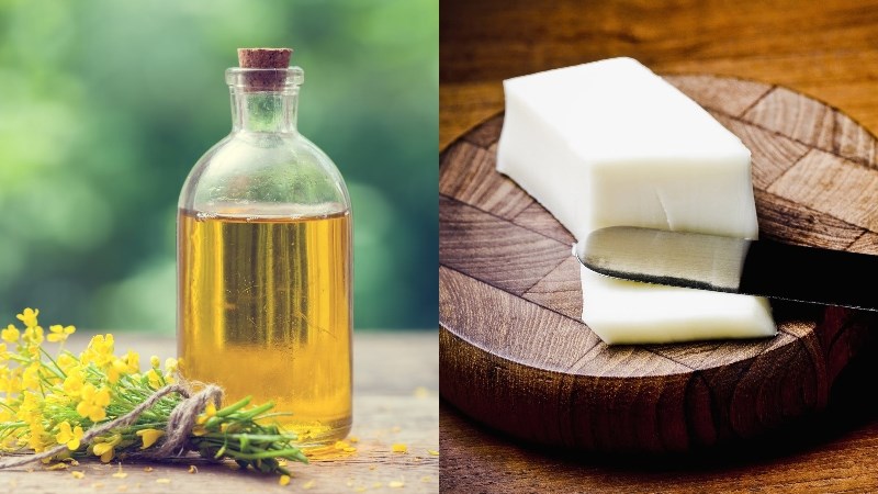 Hướng dẫn cách phân biệt mỡ và dầu, mỡ và dầu dùng cái nào tốt hơn