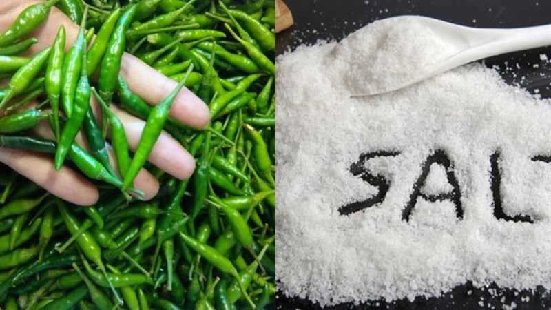 Cách làm ớt ngâm muối và nước muối giòn ngon để lâu không hư