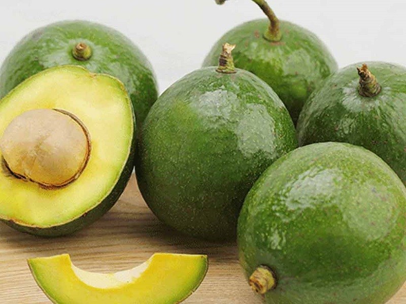 Bơ sáp có mấy loại? Cách phân biệt bơ sáp và bơ nước